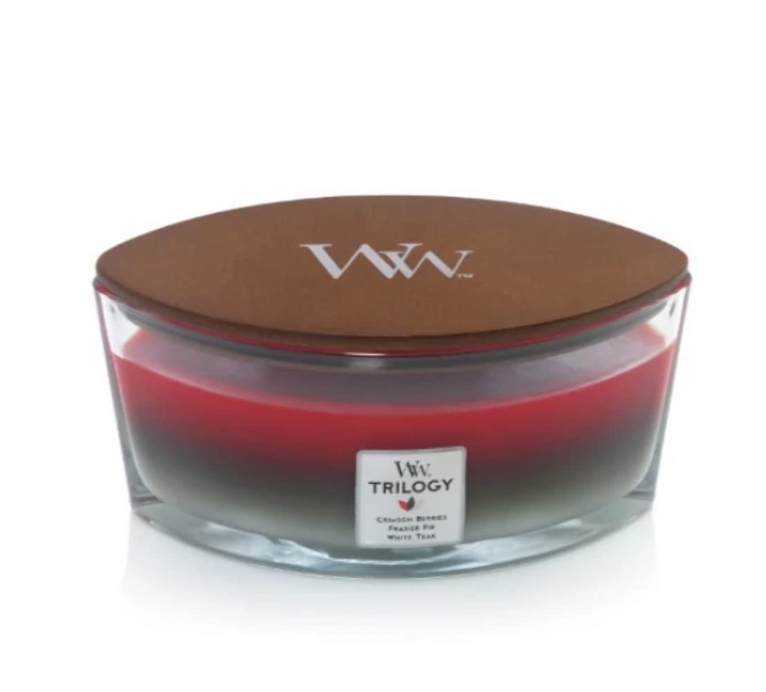 16oz Scented Candle D981