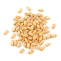 Soft White Wheat Berries 25 Pound Box N1946