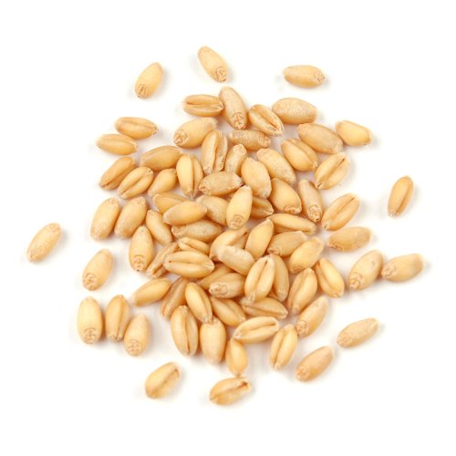 Soft White Wheat Berries 25 Pound Box N1946