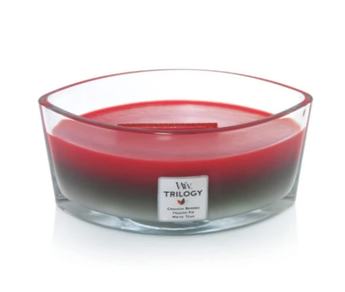 16oz Scented Candle D981