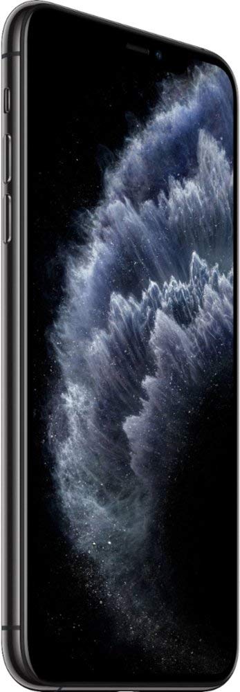 iPhone 11 Pro Max 256GB Space Gray Unlocked T552