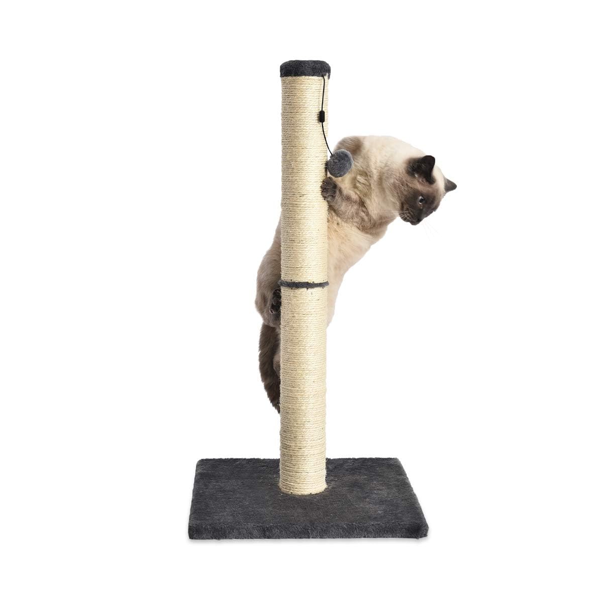 Cat Scratching Post with Dangling Ball Toy, Grey P3919