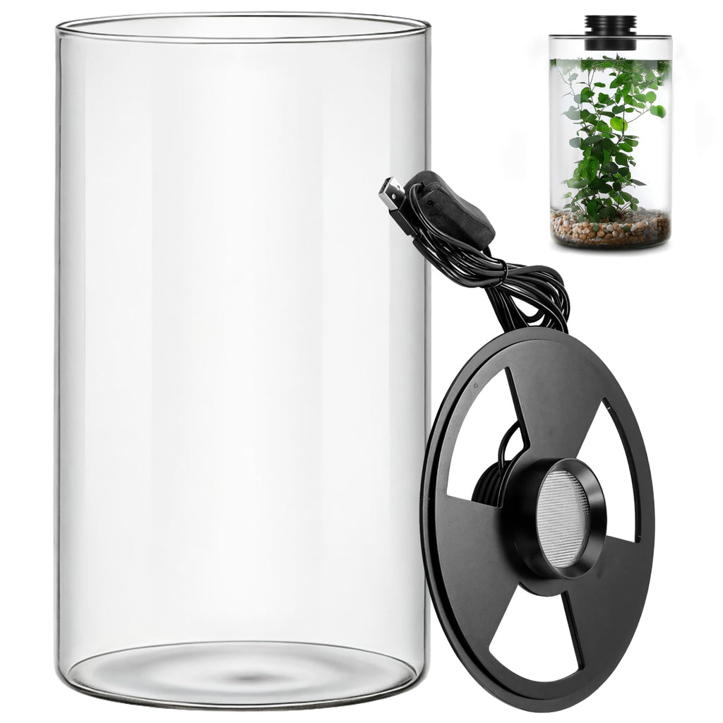 Glass Plant Terrarium with Grow Light 10 X 6IN T262512