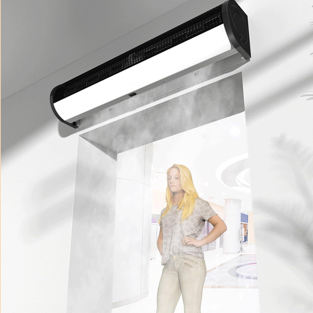 Commercial Indoor 2 Speed Wall-mounted Air Curtain P9163