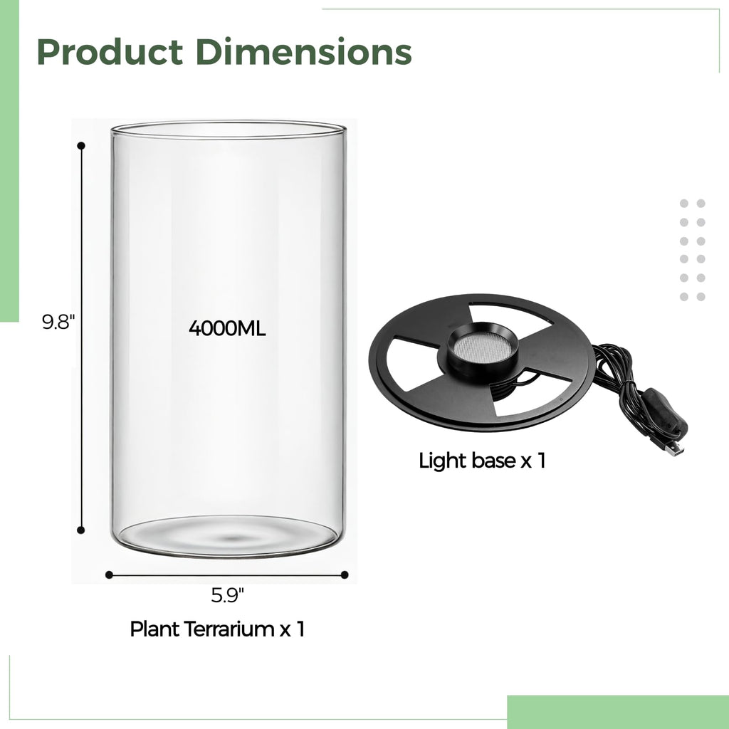 Glass Plant Terrarium with Grow Light 10 X 6IN T262512