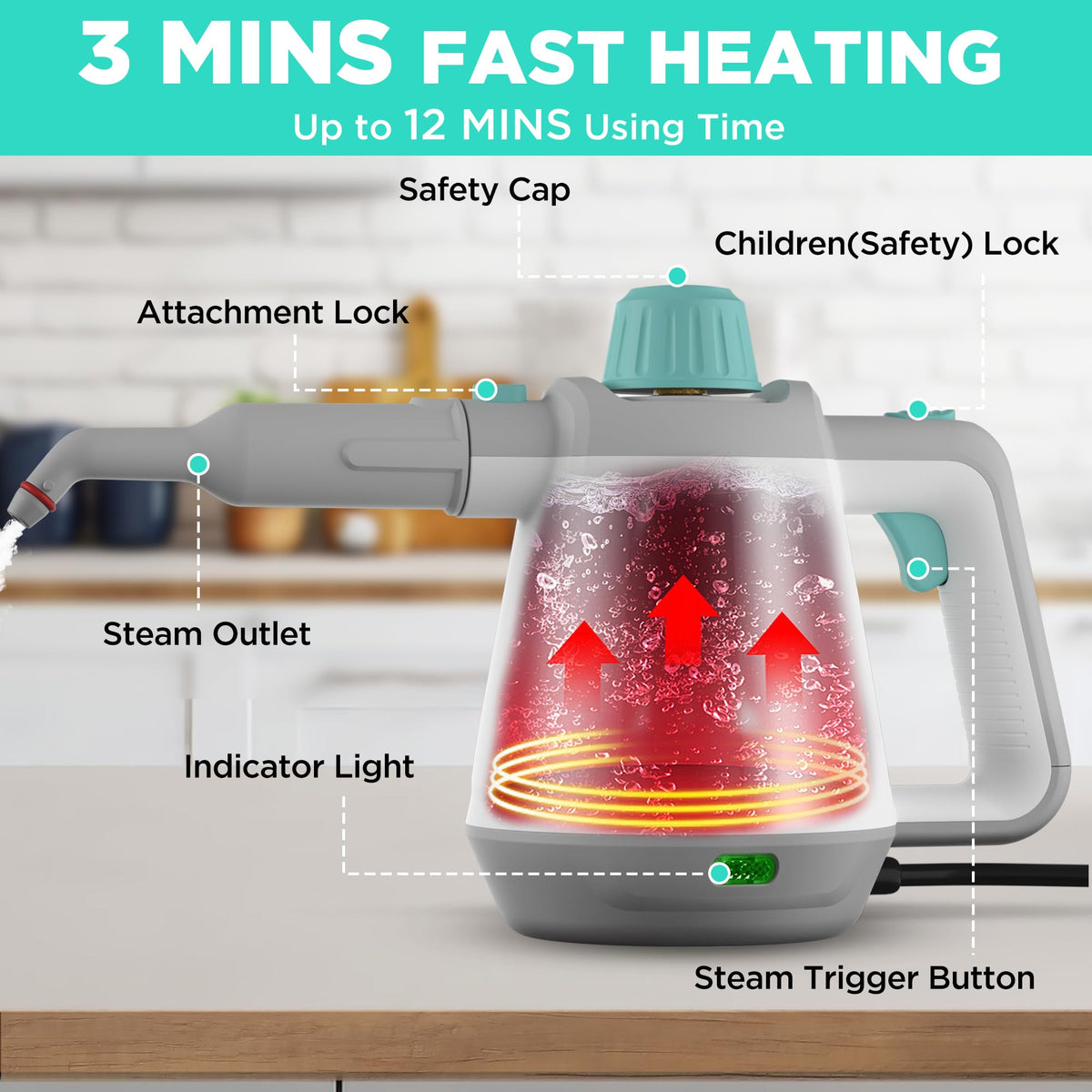 Handheld Steam Cleaner T83810