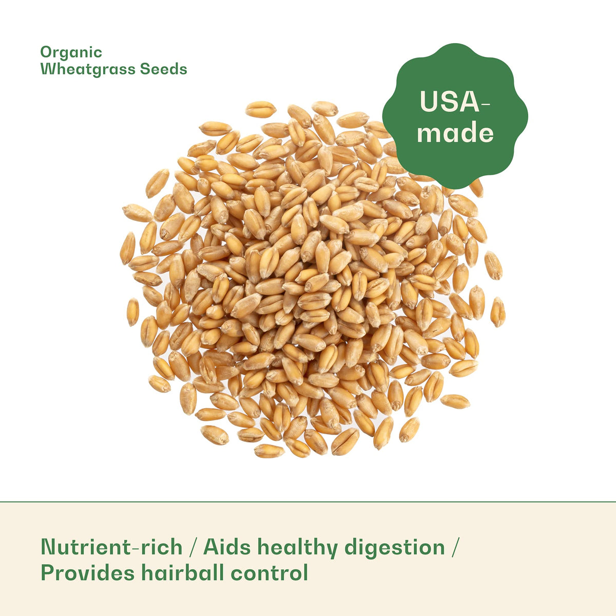 Organic Wheat Grass Seeds 16 Ounces B653283