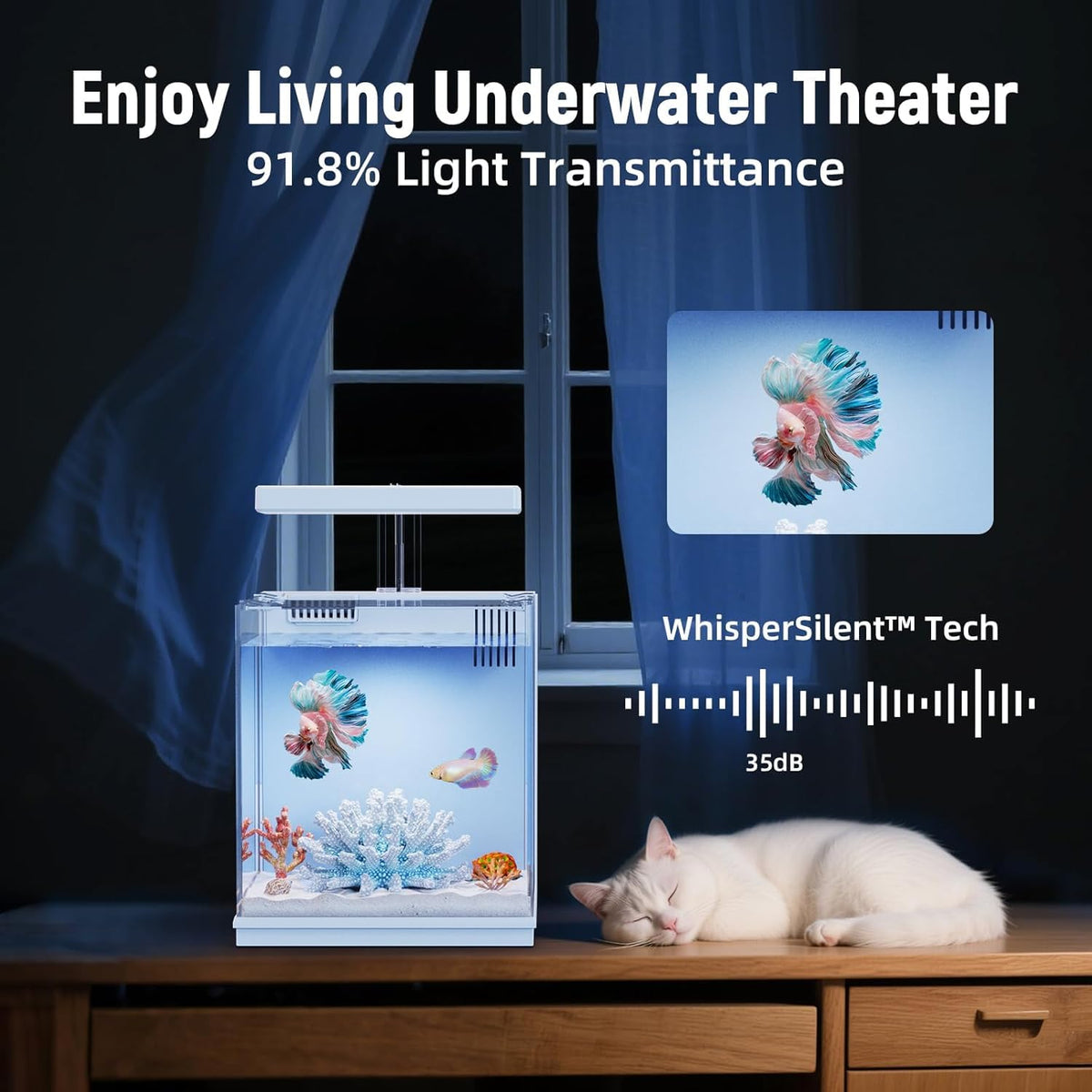 2 Gallon Aquarium Kit with Filtration & LED Light Q1065