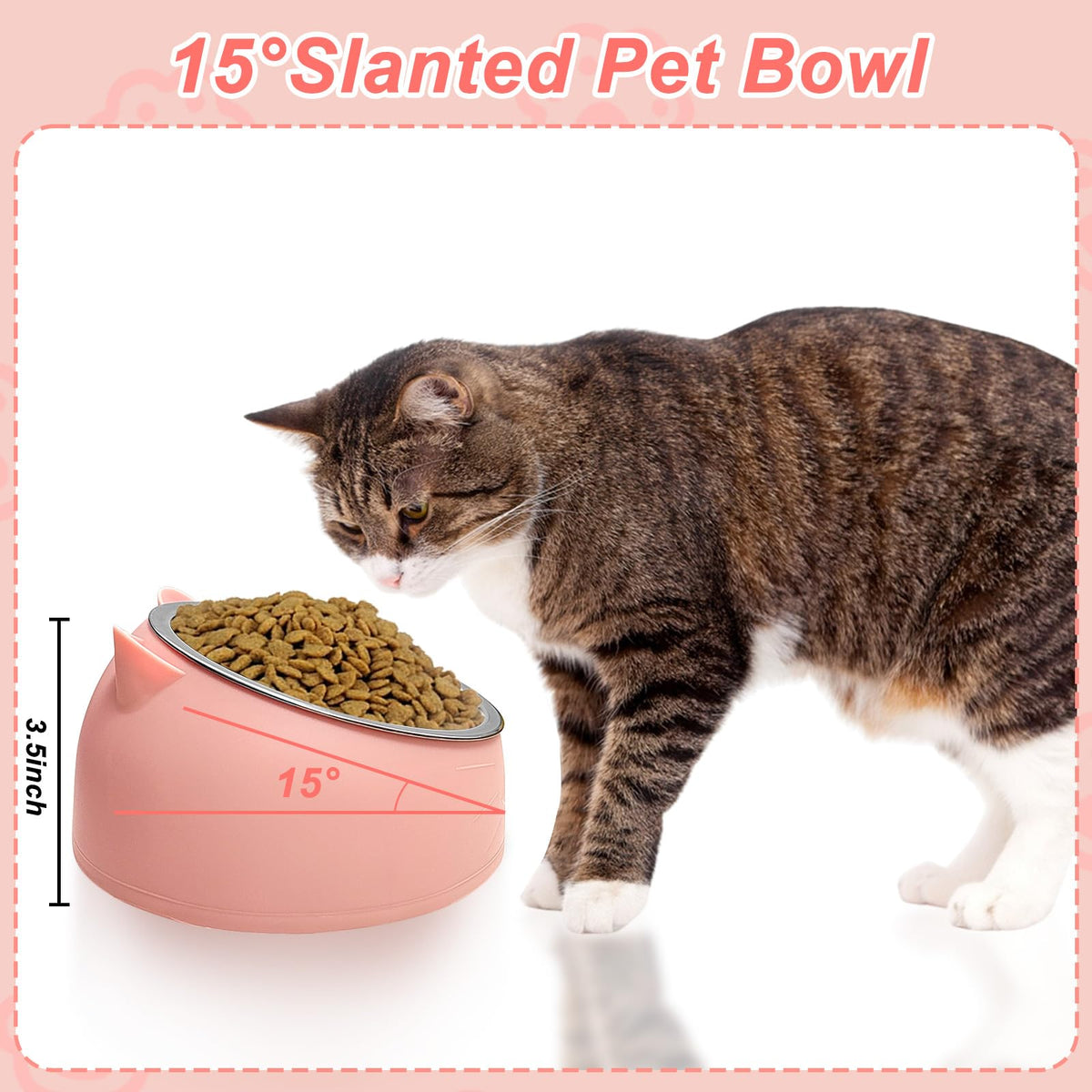 7 Pcs Stainless Steel Raised Cat Food Bowl G296