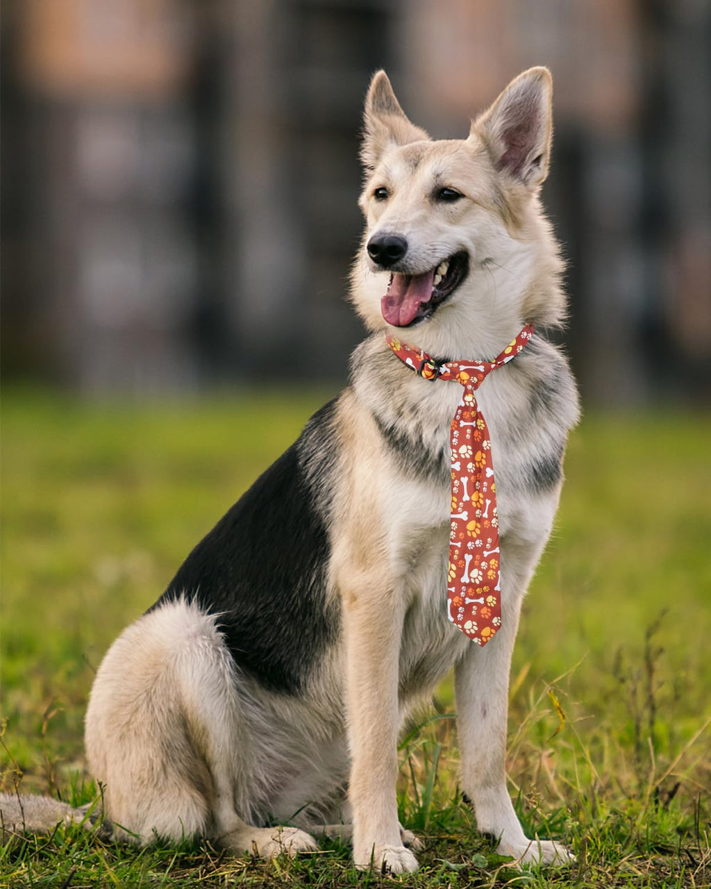 60 Pack Paw Print Dog Bowties and Ties H333