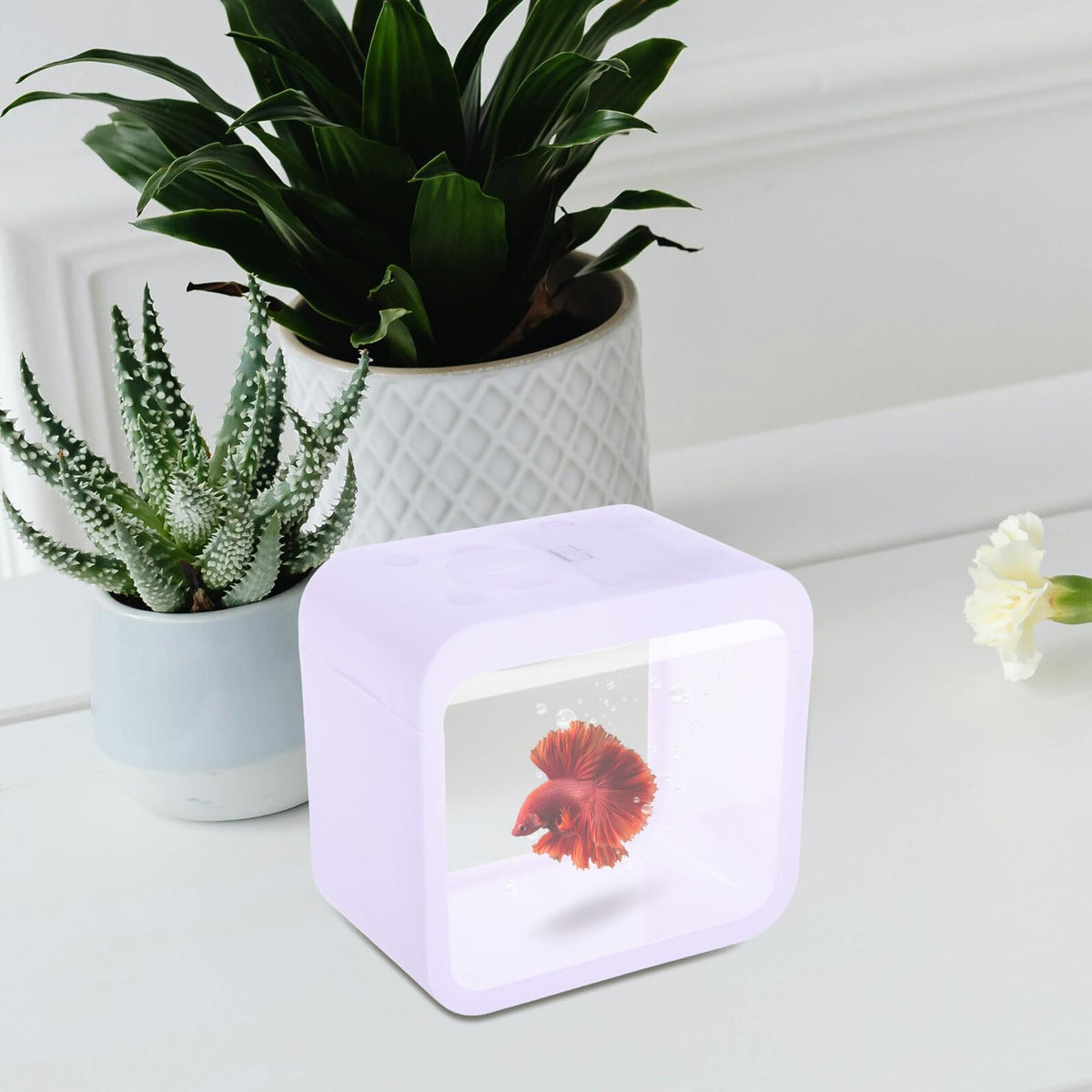 Betta Fish Tank Desktop Aquarium with LED Light C742
