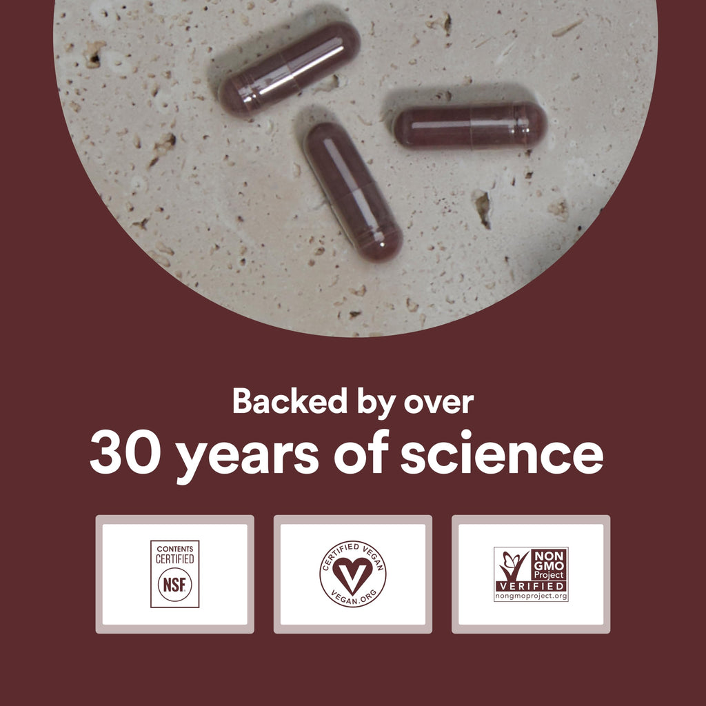 750mg Cocoa Flavanols Vegan Gluten-Free Cocoa S331