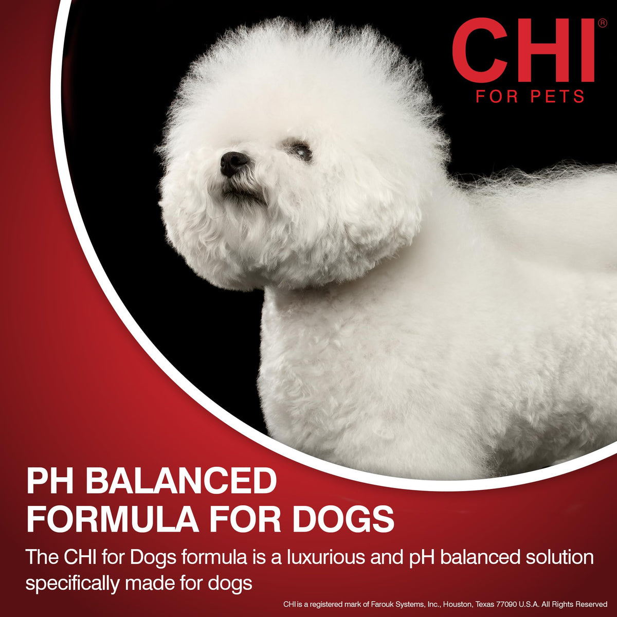 2-in-1 Dog Shampoo and Conditioner 16 Fl Oz H63050