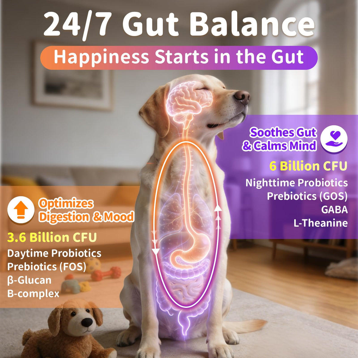 Dog Vitamins and Supplements 2 Pack Chicken J1779
