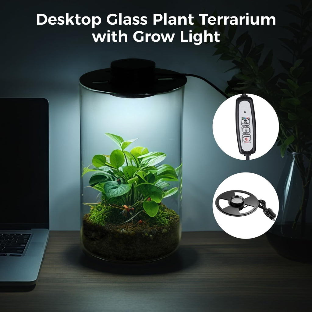 Glass Plant Terrarium with Grow Light 10 X 6IN T262512