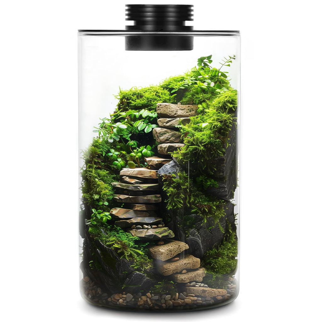 Glass Plant Terrarium with Grow Light 10 X 6IN T262512