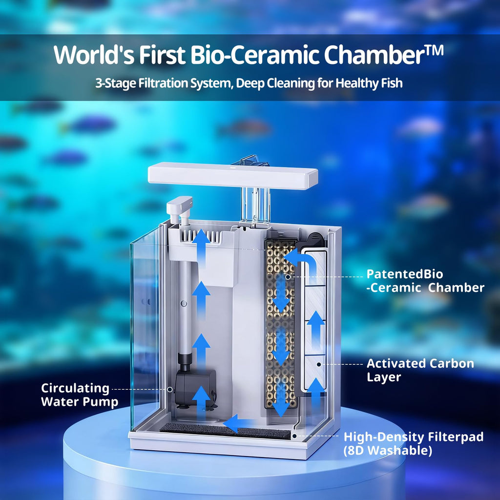 2 Gallon Aquarium Kit with Filtration & LED Light Q1065