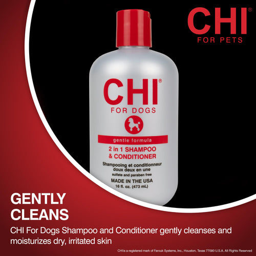 2-in-1 Dog Shampoo and Conditioner 16 Fl Oz H63050