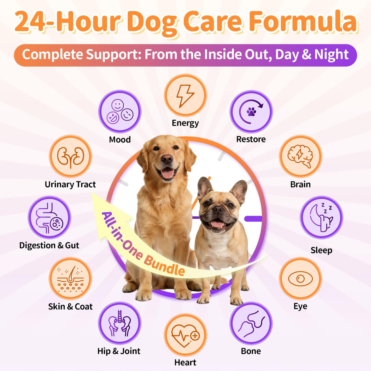 Dog Vitamins and Supplements 2 Pack Chicken J1779