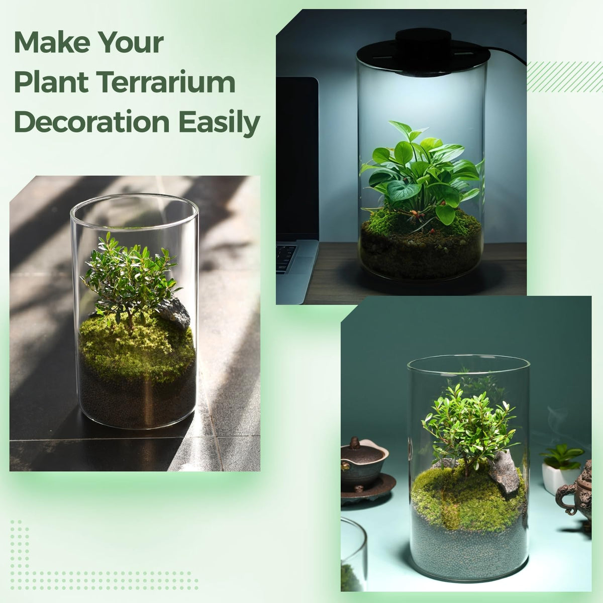 Glass Plant Terrarium with Grow Light 10 X 6IN T262512