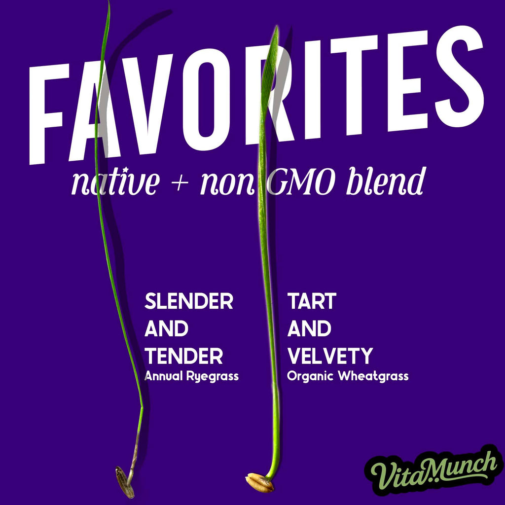 Cat Grass Seed Non-GMO Blend A6806