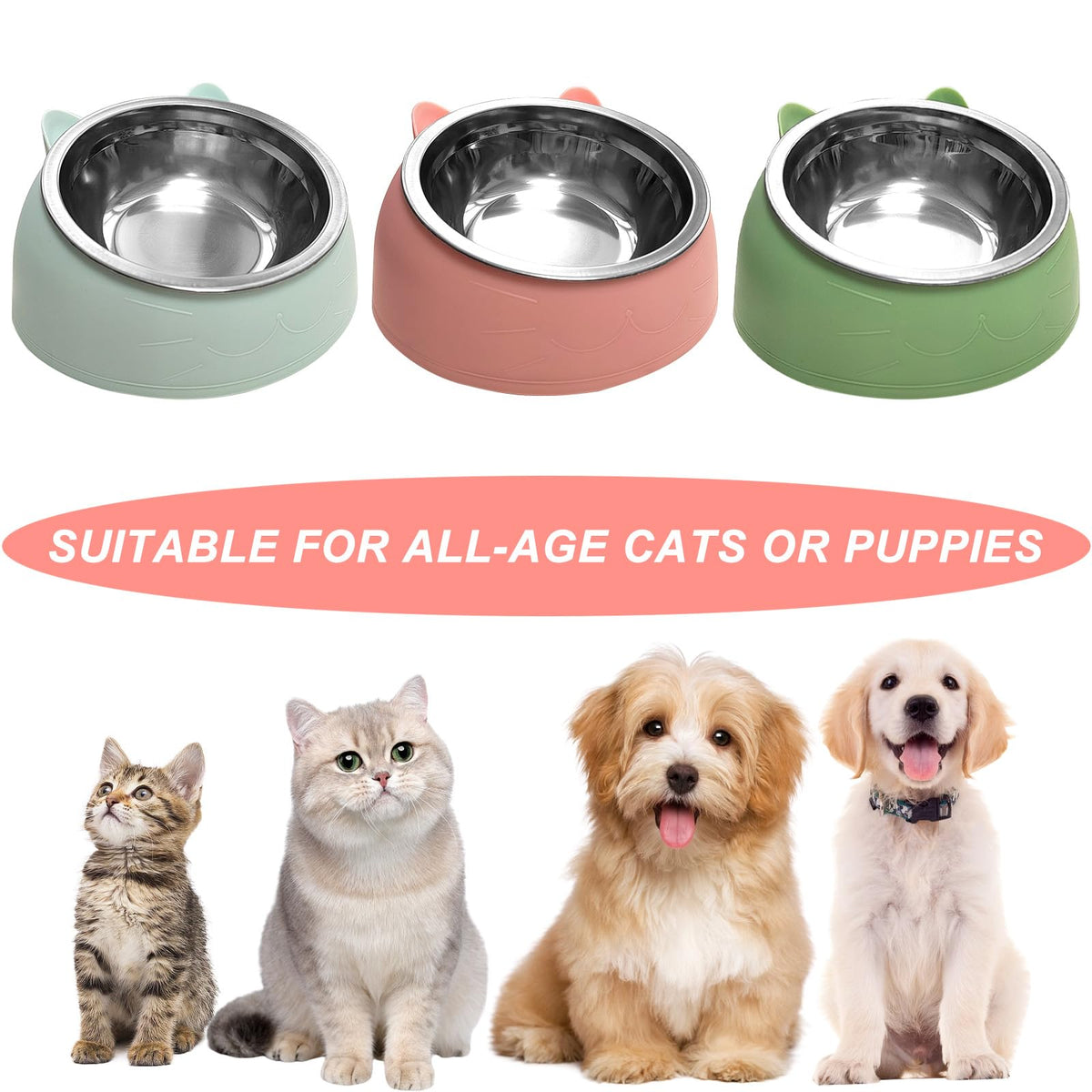 7 Pcs Stainless Steel Raised Cat Food Bowl G296