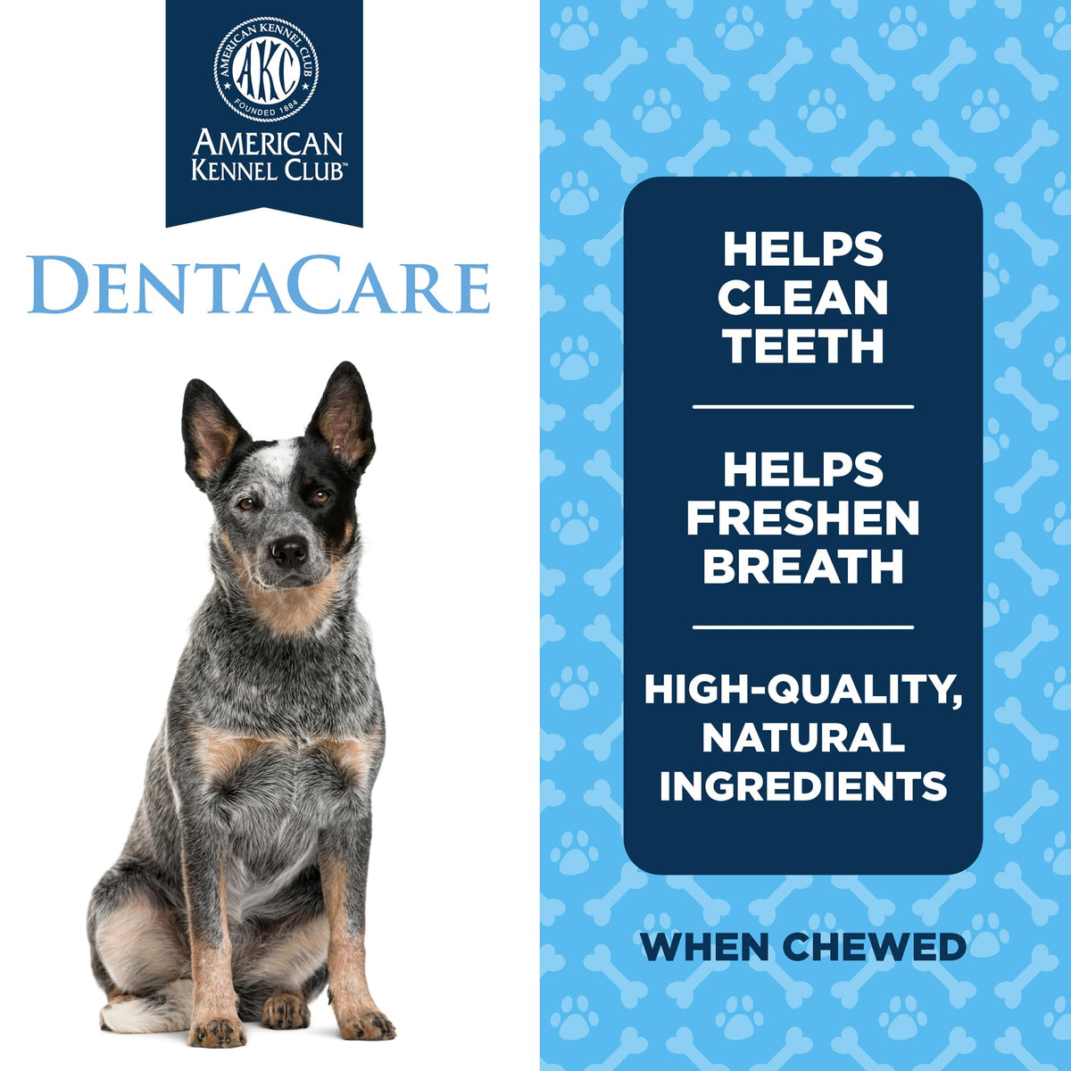 Medium Mint Flavored Dentacare Bones, 14 Count O523612