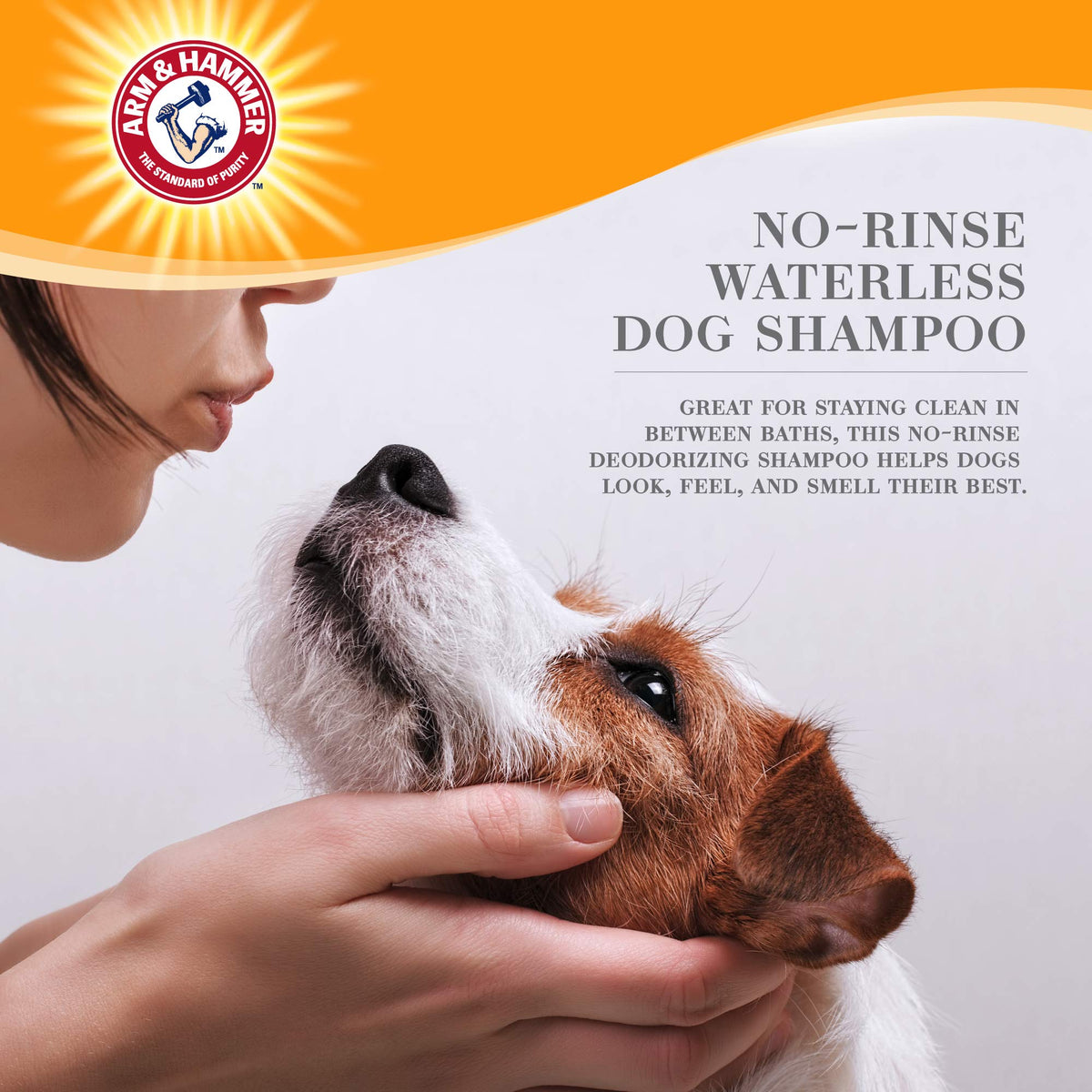 Waterless Dog Shampoo Foam 8 Fl Oz I596036