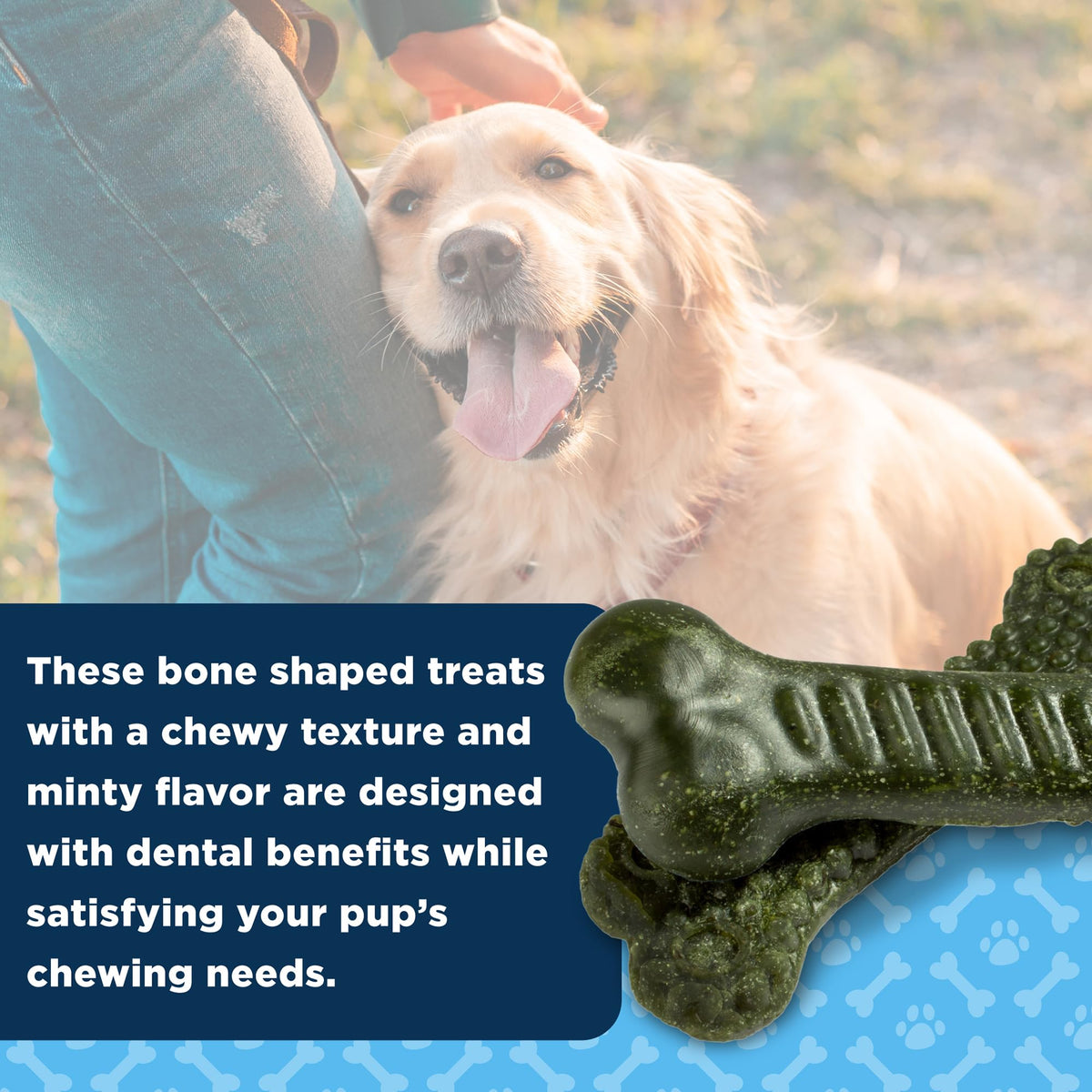 Medium Mint Flavored Dentacare Bones, 14 Count O523612