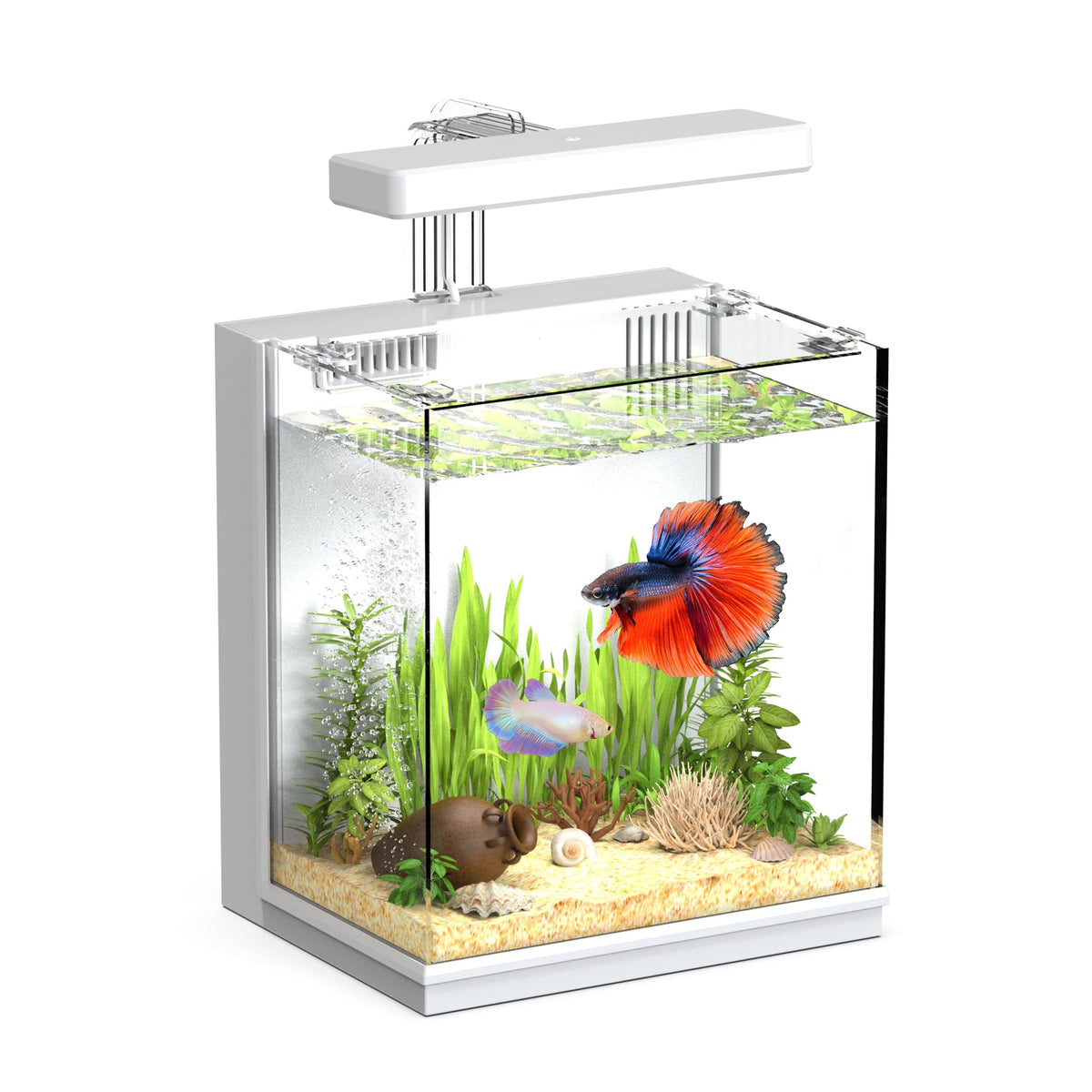 2 Gallon Aquarium Kit with Filtration & LED Light Q1065