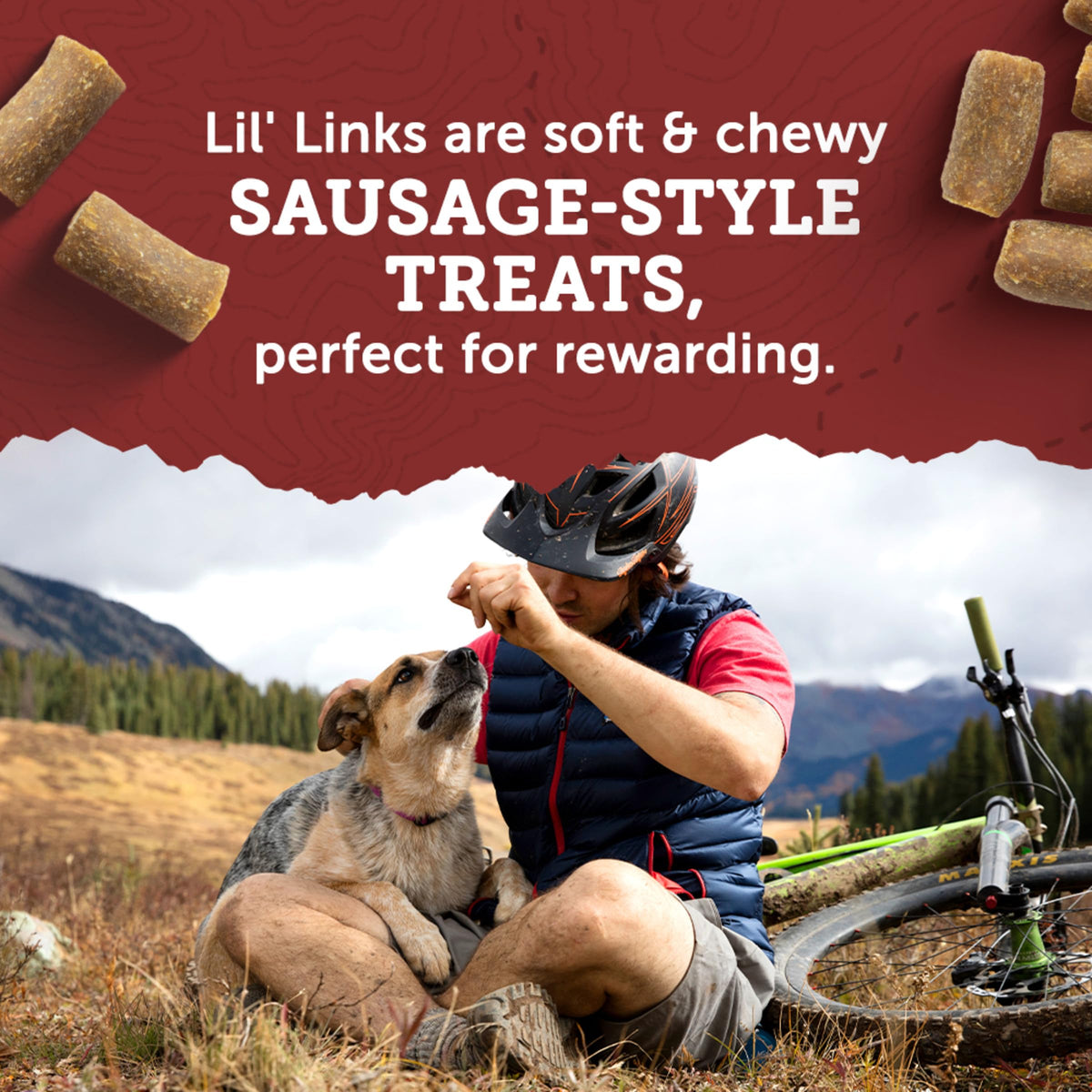 Chicken and Apple Recipe Dog Treats 6 oz B9489
