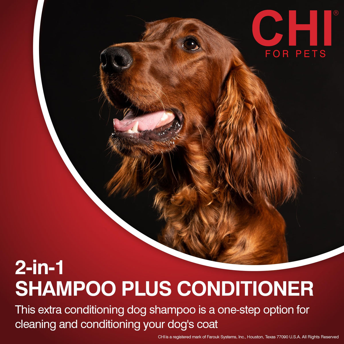 2-in-1 Dog Shampoo and Conditioner 16 Fl Oz H63050