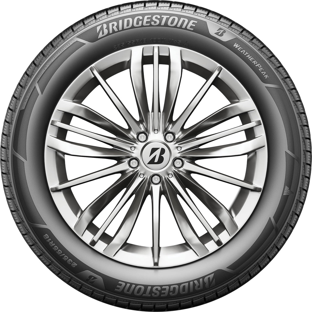 All Weather 265/60R18 110V Passenger Tire F2249