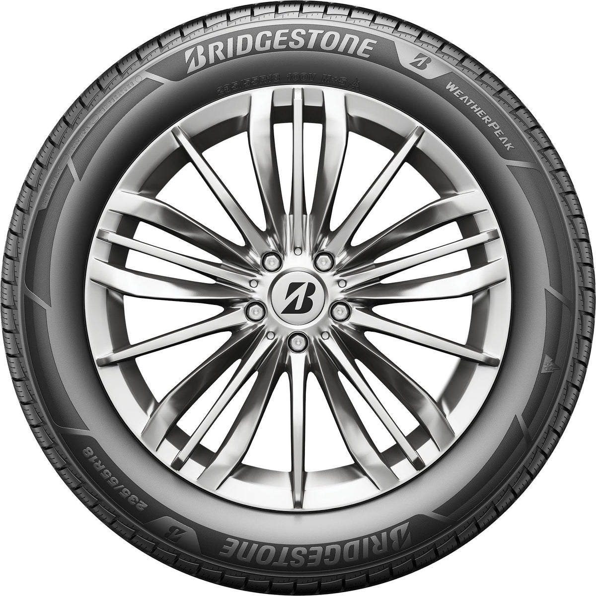 All Weather 265/60R18 110V Passenger Tire F2249