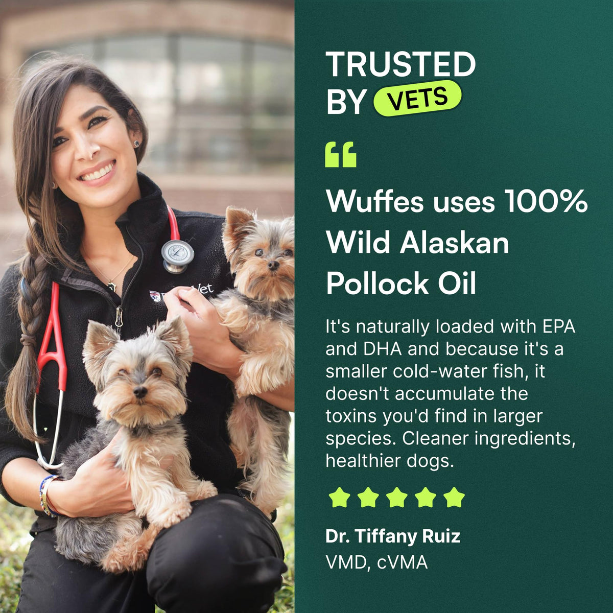Omega-3 Fish Oil for Dogs, 16 oz Wild Alaskan Pollock Oil R728