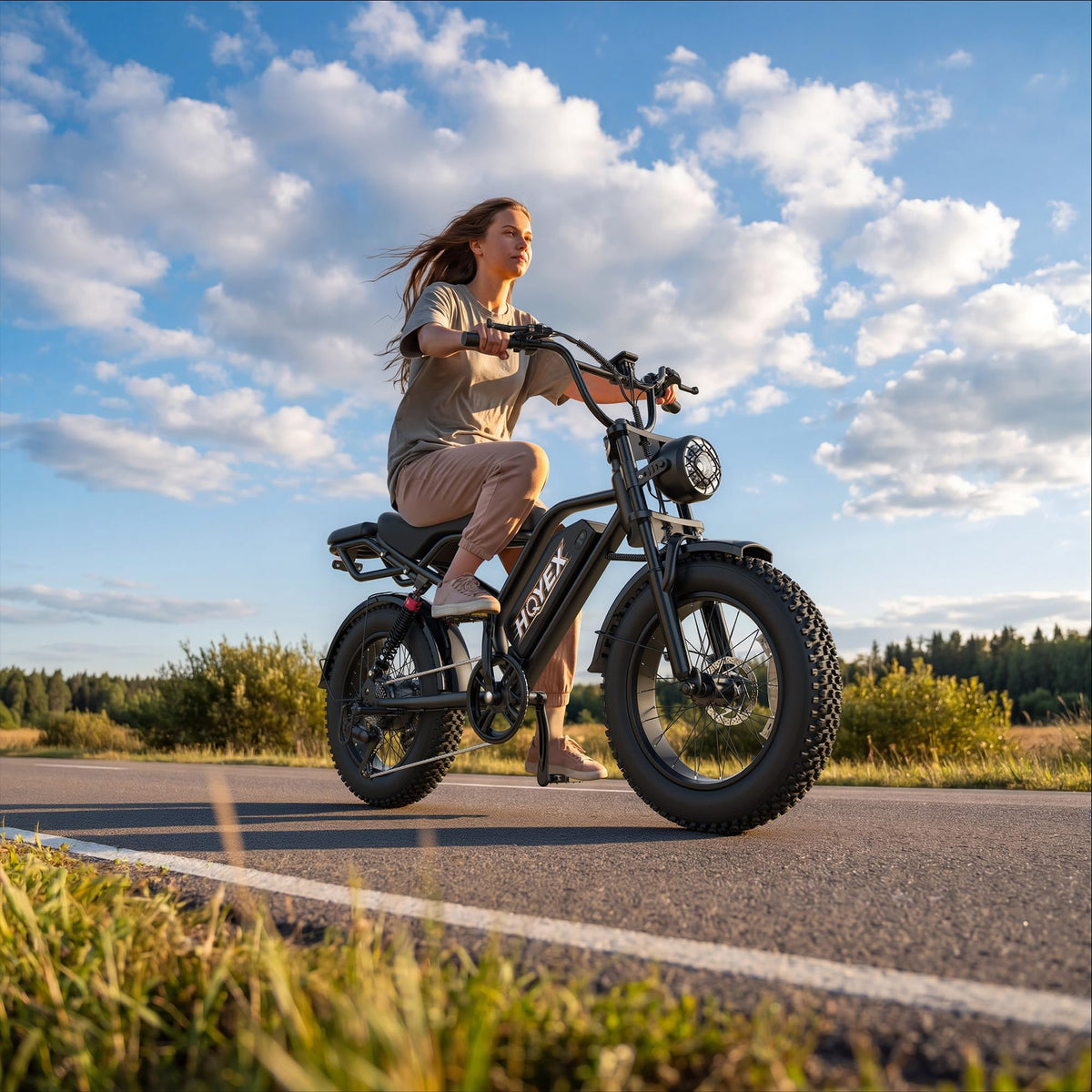 Electric Bike 48V 500W V432198