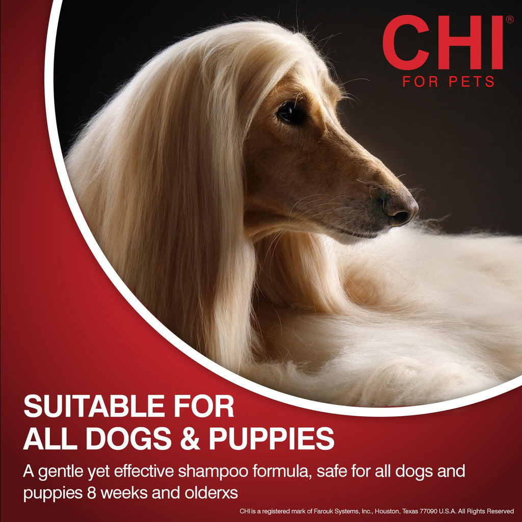 2-in-1 Dog Shampoo and Conditioner 16 Fl Oz H63050