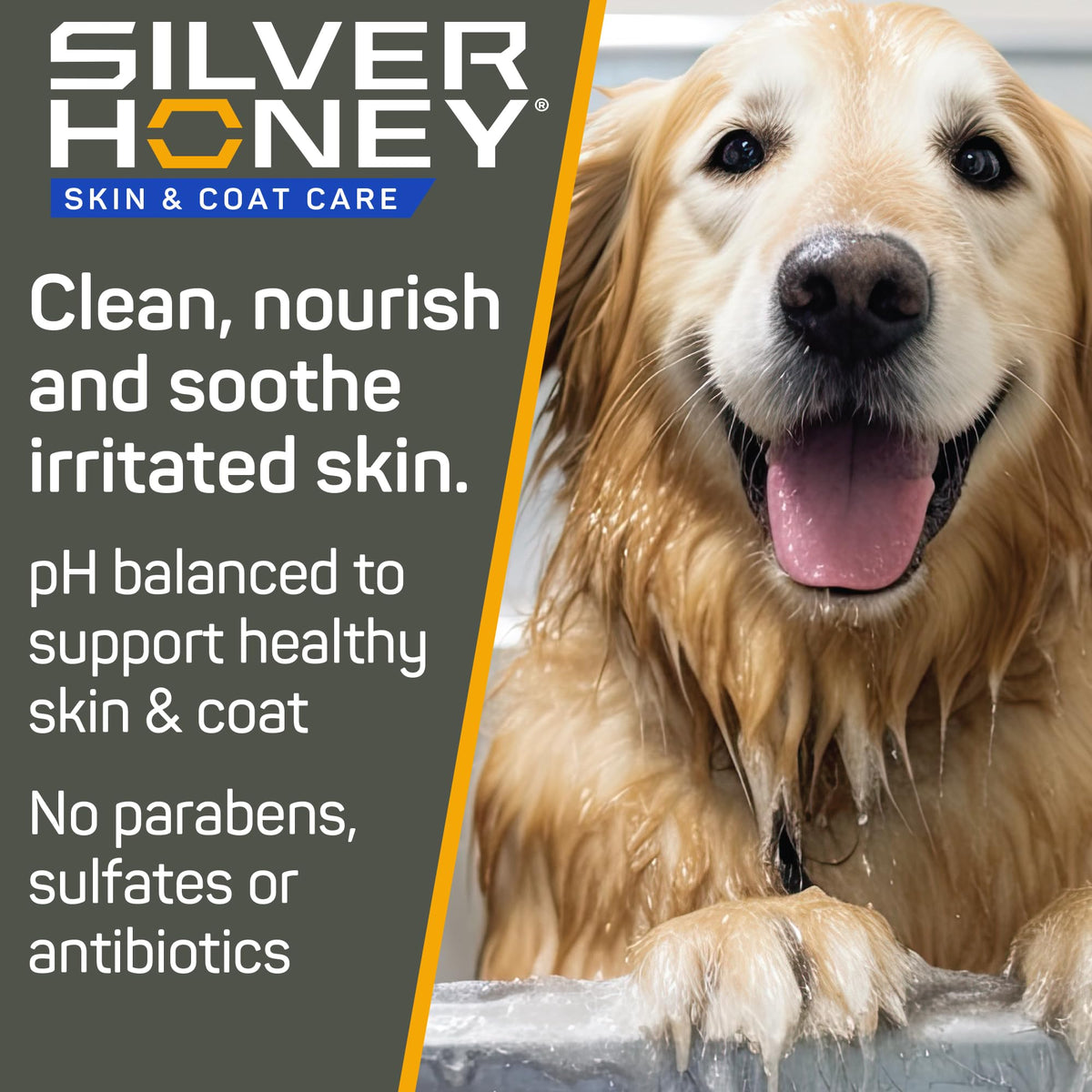 Silver Honey Skin & Coat Care Grooming 2pc Combo G9050