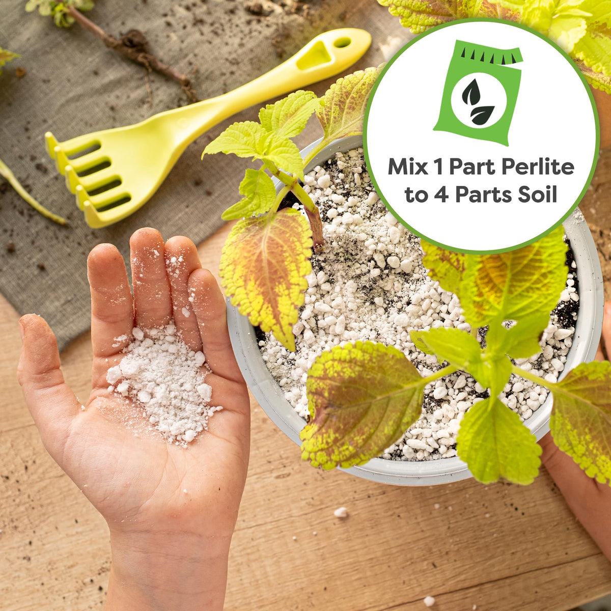 Organic Perlite 4 qt X600