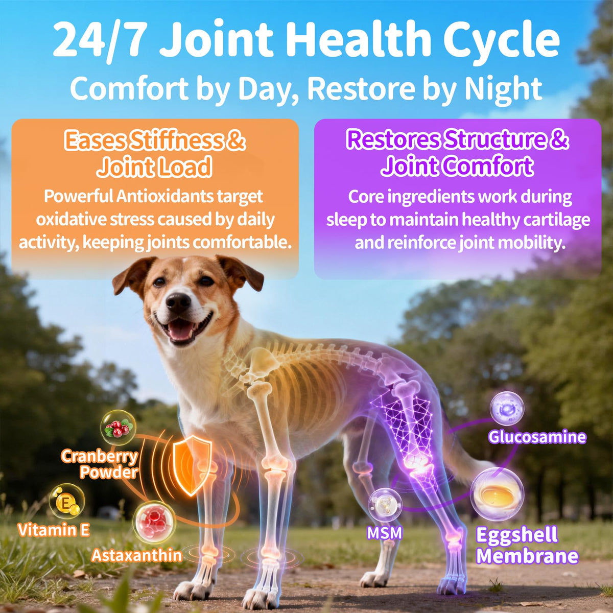 Dog Vitamins and Supplements 2 Pack Chicken J1779
